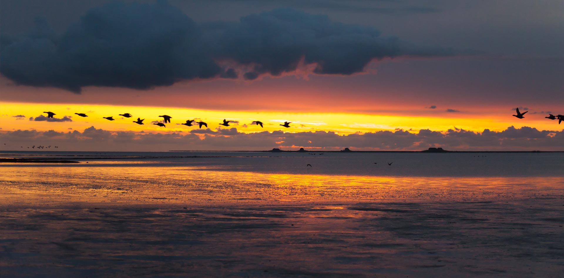 Impressionen Halbinsel Nordstrand