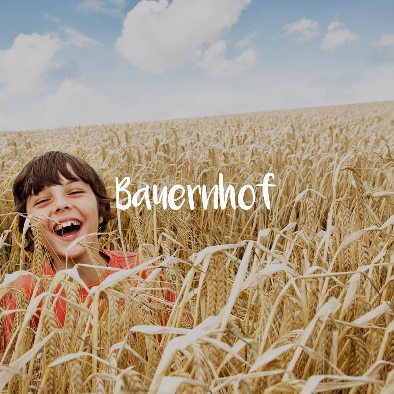 Ferienwohnungen und Ferienhäuser in der Region Ferienhöfe für den Bauernhofurlaub in Schleswig-Holstein